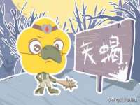 南京真和建筑工程有限公司