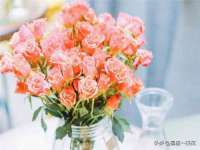 南京真和建筑工程有限公司