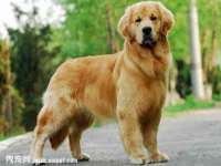 南京真和建筑工程有限公司