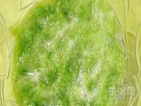 南京真和建筑工程有限公司