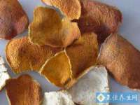南京真和建筑工程有限公司