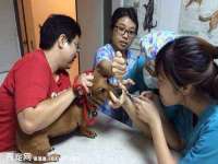 南京真和建筑工程有限公司