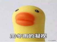 南京真和建筑工程有限公司