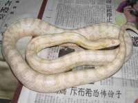 南京真和建筑工程有限公司
