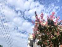 南京真和建筑工程有限公司