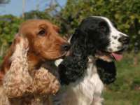 南京真和建筑工程有限公司
